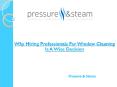 Why Hiring Professionals For Window Cleaning Is A Wise Decision PowerPoint PPT Presentation
