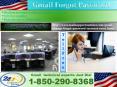 Gmail Forgot Password 1-850-290-8368 Expert- Your Definite Helper PowerPoint PPT Presentation