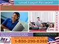 Gmail Forgot Password 1-850-290-8368 Process Gets Back Password Easily PowerPoint PPT Presentation