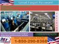 Worried about Gmail Forgot Password 1-850-290-8368 - Take Help of Experts PowerPoint PPT Presentation