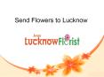 Lucknow Florist (1) PowerPoint PPT Presentation