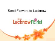 Lucknow Florist (1)