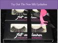 Try Out The New Silk Eyelashes PowerPoint PPT Presentation