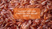 Factors that are essential for shrimp growth