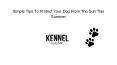 Tips To Protect Your Dog From The Sun In Summer PowerPoint PPT Presentation