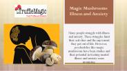 Magic Mushrooms Illness and Anxiety