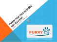 Furry Paw Pics Bespoke Art Gallery PowerPoint PPT Presentation