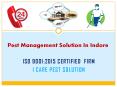 Pest Management Solution in Indore PowerPoint PPT Presentation