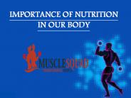 Need of Nutrition for Healthy Body