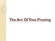 The Art Of Tree Pruning
