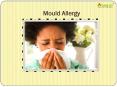 Mould Allergy: Learn about symptoms, causes and treatment PowerPoint PPT Presentation