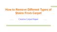 Remove Stains From Carpet PowerPoint PPT Presentation