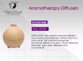 Aromatherapy Diffuser Beauty Skin care, Aromatherapy Diffuser Natural Beauty Skin care PowerPoint PPT Presentation