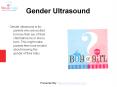 16 Week Gender Scan PowerPoint PPT Presentation