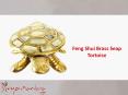 Feng Shui Brass Seap Tortoise PowerPoint PPT Presentation
