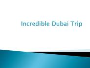 Incredible Dubai Trip
