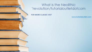 What is the Neolithic 