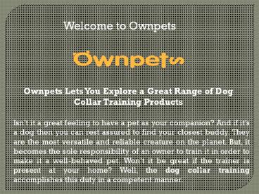 Waterproof and Rechargeable Dog Shock Collar