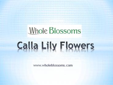 Calla Lily Flowers - www.wholeblossoms.com (1)