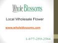 Local Wholesale Flower - www.wholeblossoms.com PowerPoint PPT Presentation
