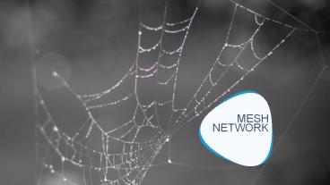 MESH NETWORK