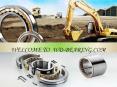 Home Appliance bearings PowerPoint PPT Presentation