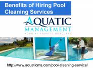 Benefits of Hiring Pool Cleaning Services