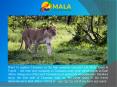 Mala Tours & Travel PowerPoint PPT Presentation