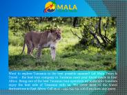 Mala Tours & Travel