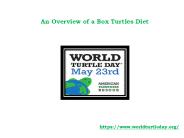 An Overview of a Box Turtles Diet