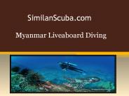 Myanmar Liveaboard Diving