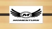 Momenturn Spinners (1)