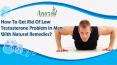 How To Get Rid Of Low Testosterone Problem In Men With Natural Remedies? PowerPoint PPT Presentation