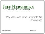 Why Marijuana Laws in Toronto Are Confusing