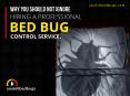 Why Hire a Professional Bed Bug Control Service in Calgary Alberta PowerPoint PPT Presentation
