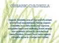 Whole Food Supplements Organic Chlorella (1) PowerPoint PPT Presentation