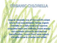 Whole Food Supplements Organic Chlorella (1)