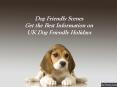 Dog Friendly Scenes: Get the Best Information on UK Dog Friendly Holidays PowerPoint PPT Presentation