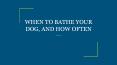 WHEN TO BATHE YOUR DOG, AND HOW OFTEN PowerPoint PPT Presentation