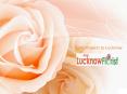 Online Florist PowerPoint PPT Presentation