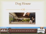 Dog Training Michigan