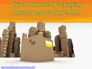 China Advanced Packaging Market Report 2017-2022