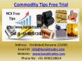 MCX Crude Oil Tips Advisory Service Provider - Kanak Trades PowerPoint PPT Presentation