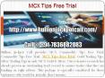 MCX Commodity Tips Free Trial - Gold Trading Tips with Affordable Price PowerPoint PPT Presentation