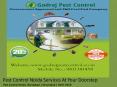 Pest Control Noida Services At Your Doorstep