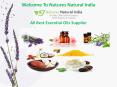 Essential Oil Suppliers @ Natures Natural India PowerPoint PPT Presentation