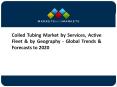 Coiled Tubing Market Growth Trends And Future Prospects - Global Forecast To 2020 PowerPoint PPT Presentation
