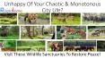 Wildlife Sanctuaries In India PowerPoint PPT Presentation
