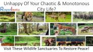 Wildlife Sanctuaries In India