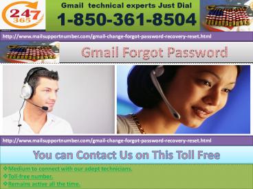 What is the role of Gmail Forgot Password 1-850-361-8504 team?
